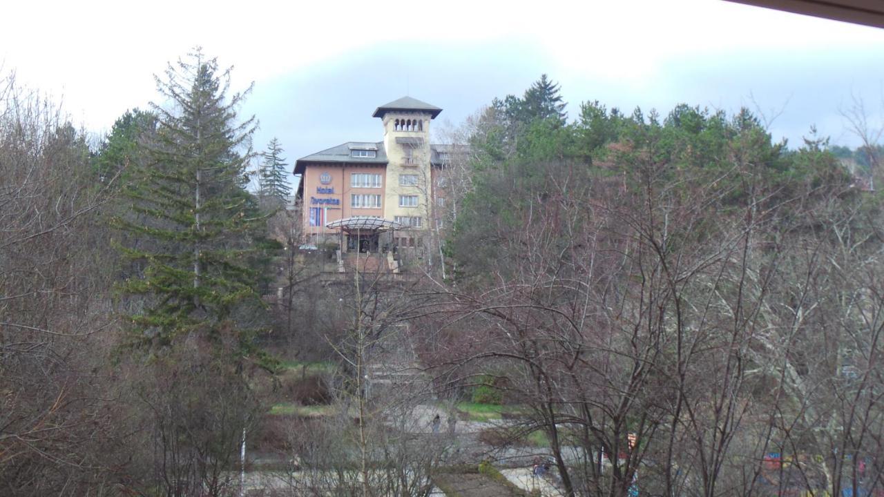 Апартамент Ренета Apartment Reneta Velingrad Dış mekan fotoğraf