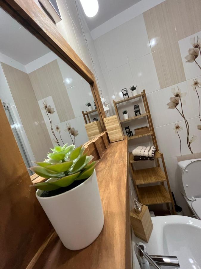 Апартамент Ренета Apartment Reneta Velingrad Dış mekan fotoğraf