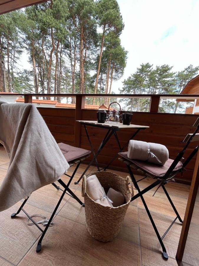 Апартамент Ренета Apartment Reneta Velingrad Dış mekan fotoğraf
