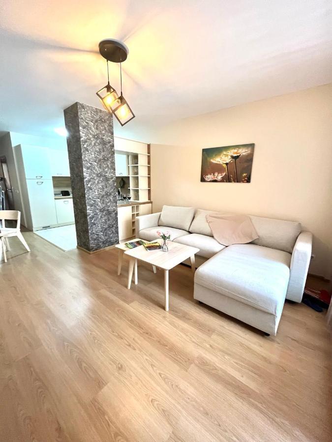 Апартамент Ренета Apartment Reneta Velingrad Dış mekan fotoğraf