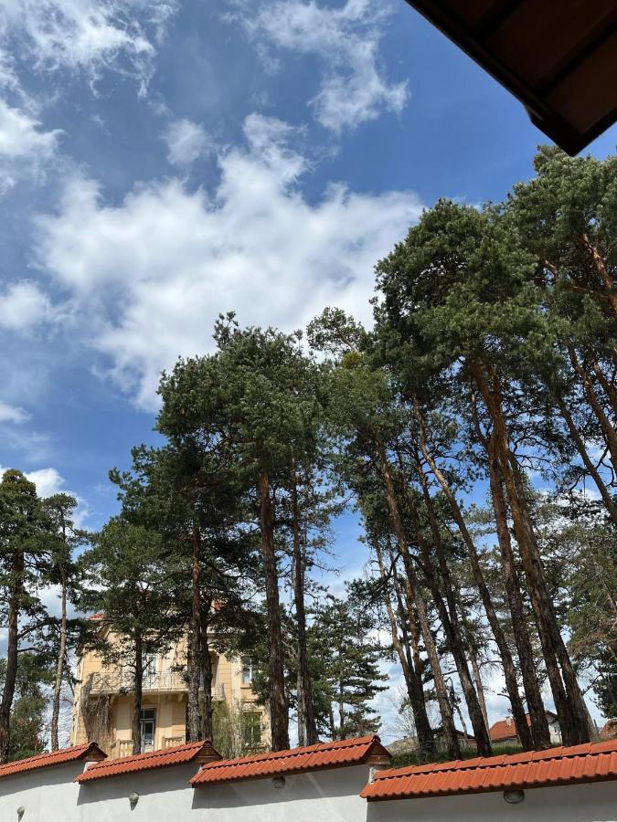 Апартамент Ренета Apartment Reneta Velingrad Dış mekan fotoğraf